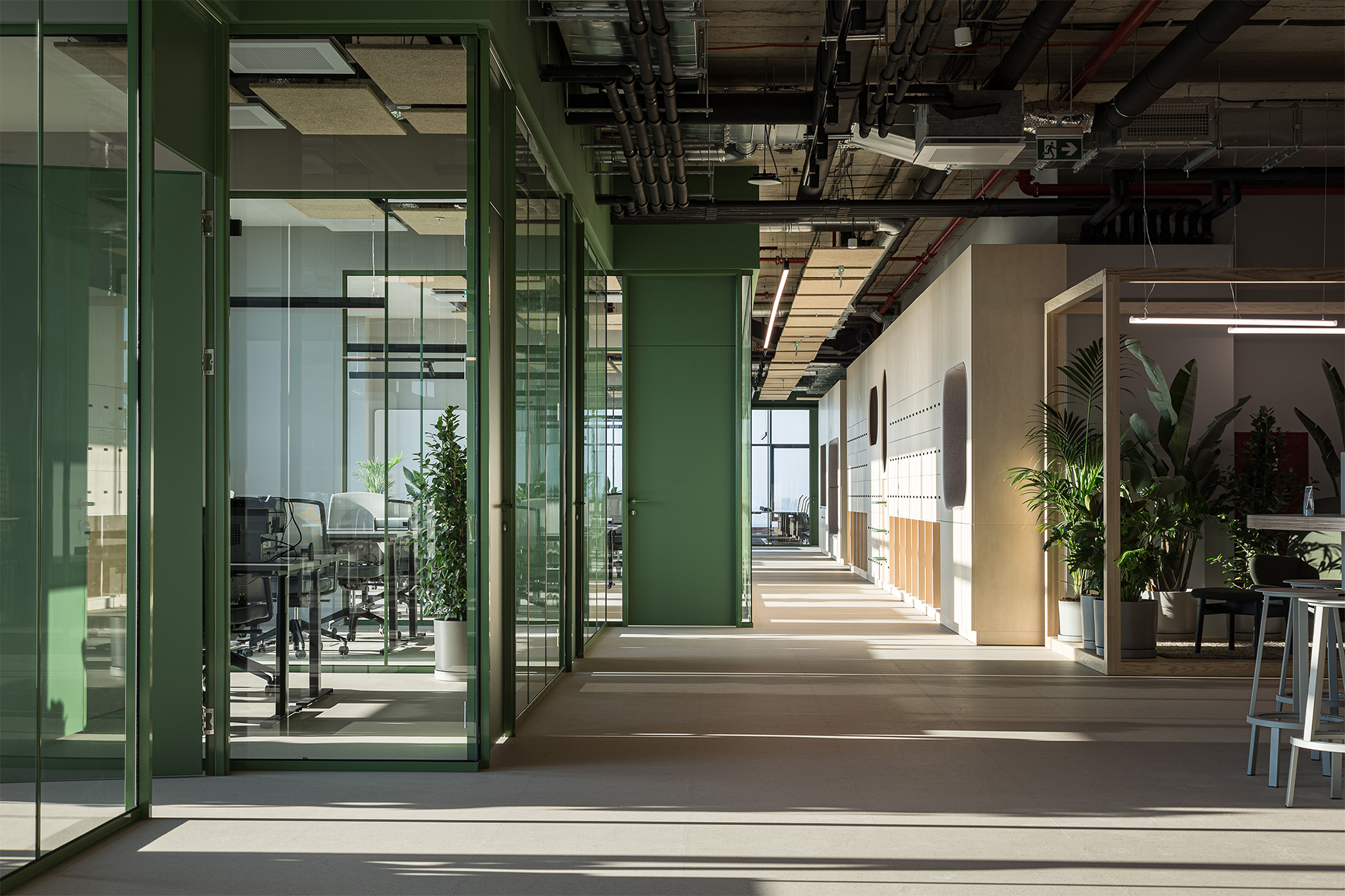 bright corridor and office workspace in TX Services Belgrade office for Swiss tech company TX Group